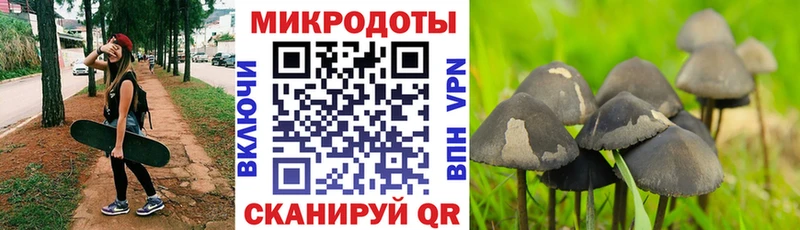 Купить  Лыткарино  Псилоцибиновые грибы мухоморы 